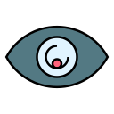 Œil icon