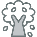 clima icon