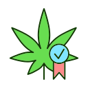 cannabis 