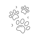 hund 