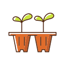 planta de semillero icon