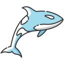 orca icon