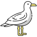 gaviota icon