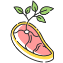 vegetarianismo icon