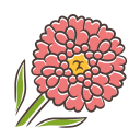 flor silvestre iberis icon