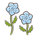 nemophila menziesii icon