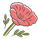 papaver rhoeas icon