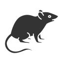 ratón icon