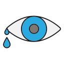 ojo icon