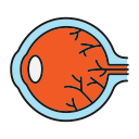 ojo icon