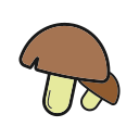 hongos icon