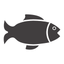 poisson icon