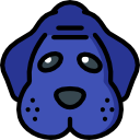 chien 