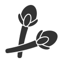 clou de girofle 