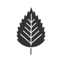 naturaleza icon