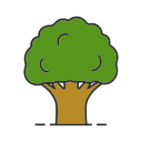 naturaleza icon