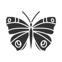 mariposa icon