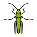 insecto icon