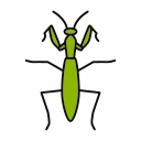 insecto icon