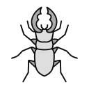 insecto icon