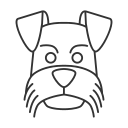 perro icon