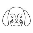 perro icon