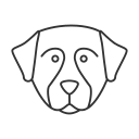 perro icon