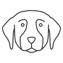 perro icon