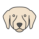 perro icon