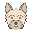 perro icon