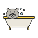 gato icon