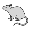 ratón 