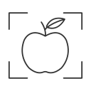 fruta 