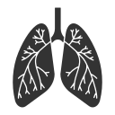 sistema respiratorio icon