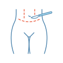 abdominal icon