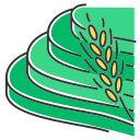 verde icon