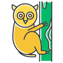 tier 