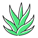 naturaleza icon