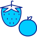 fruta icon