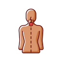 posture 