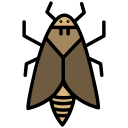 naturaleza icon