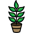 naturaleza icon