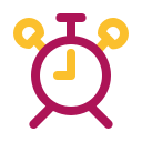 reloj icon