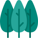 naturaleza icon