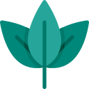 naturaleza icon