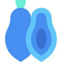 fruta icon