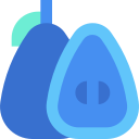 fruta icon