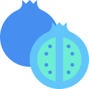 fruta icon