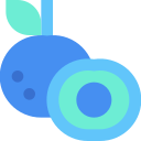 fruta icon