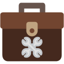 bolsa icon